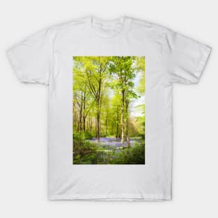 Bluebell Woods in Spring T-Shirt